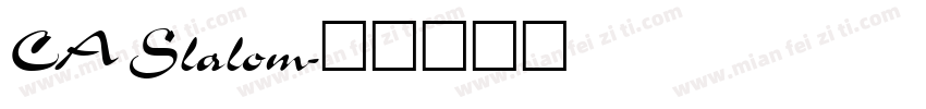 CA Slalom字体转换